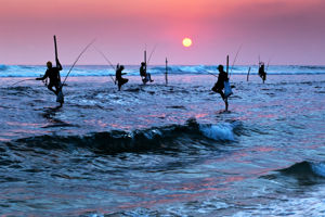 Najwazniejsze atrakcje Sri Lanki do wylotu 21/7