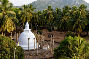 Najwazniejsze atrakcje Sri Lanki do wylotu 21/7