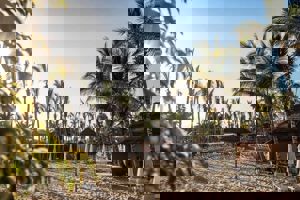 Tabaiba Princess Hotel