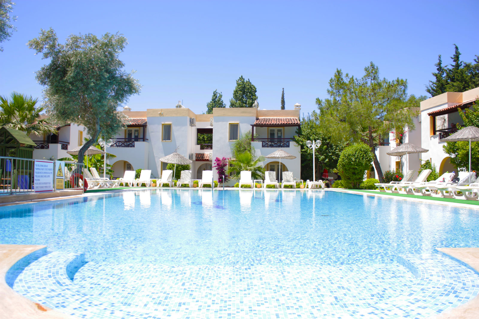 Fly Go Toloman Bitez Park