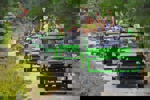 Excursiereis & Terrace Elite Resort