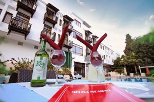 Melissa Moment Apart Hotel