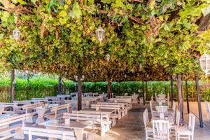 Fly & Go Izola Paradise 