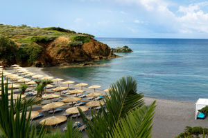 Fly & Go Out of the Blue Resort 