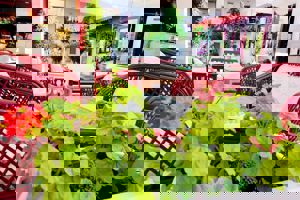 Excursiereis & Regal Hotel Bitez 