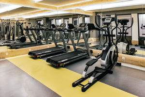 Viking Park Hotel & Spa