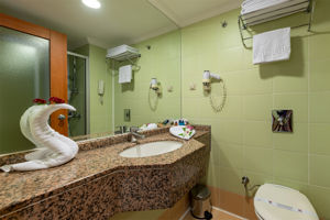 Viking Park Hotel & Spa