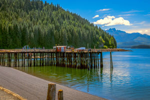 15-daagse Ontdekkingscruise Alaska