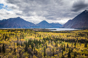 15-daagse Ontdekkingscruise Alaska