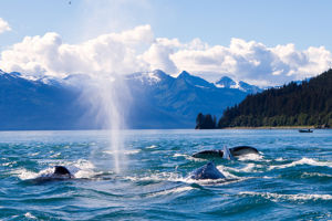 10-daagse Ontdekkingscruise Alaska