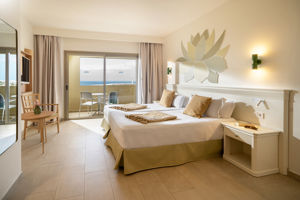 Iberostar Waves Gaviotas Park