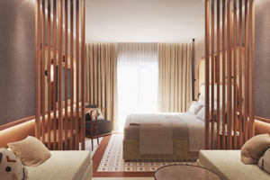 Woonvoorbeeld Junior suite Deluxe met PrivÃ©zwembad