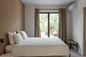 Woonvoorbeeld 4-kamerappartement Guesthouse met prive zwembad