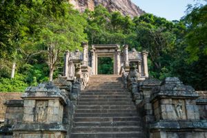 Rondreis Compleet Sri Lanka