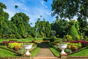 Rondreis Compleet Sri Lanka