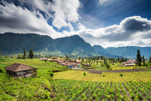 Rondreis Veelzijdig Java & Bali