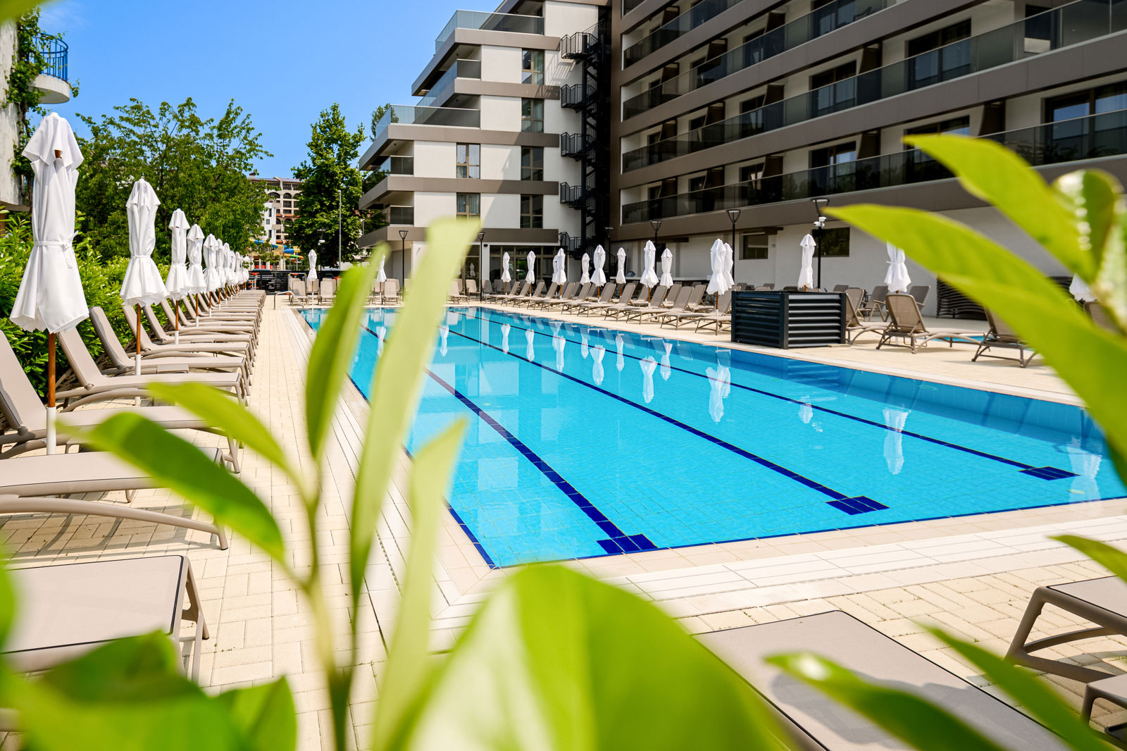 Laguna Park Sunrise slide 4