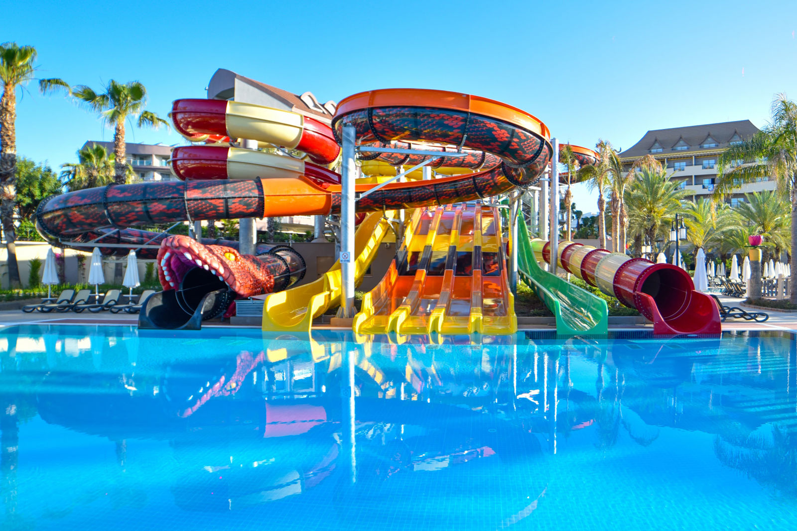 Royal Dragon slide 2