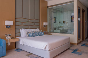 Canal Central Business Bay & Excursie