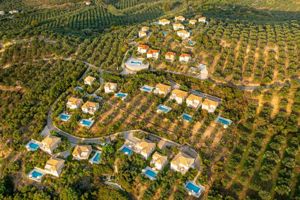 Eleonas Villas & Holiday Houses 