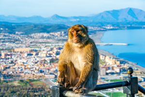 Cruise Spanje & Marokko 