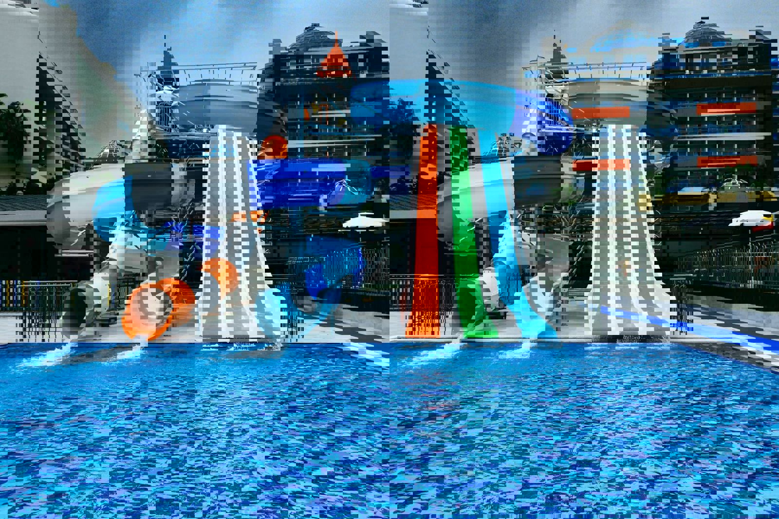 Lonicera Premium slide 4