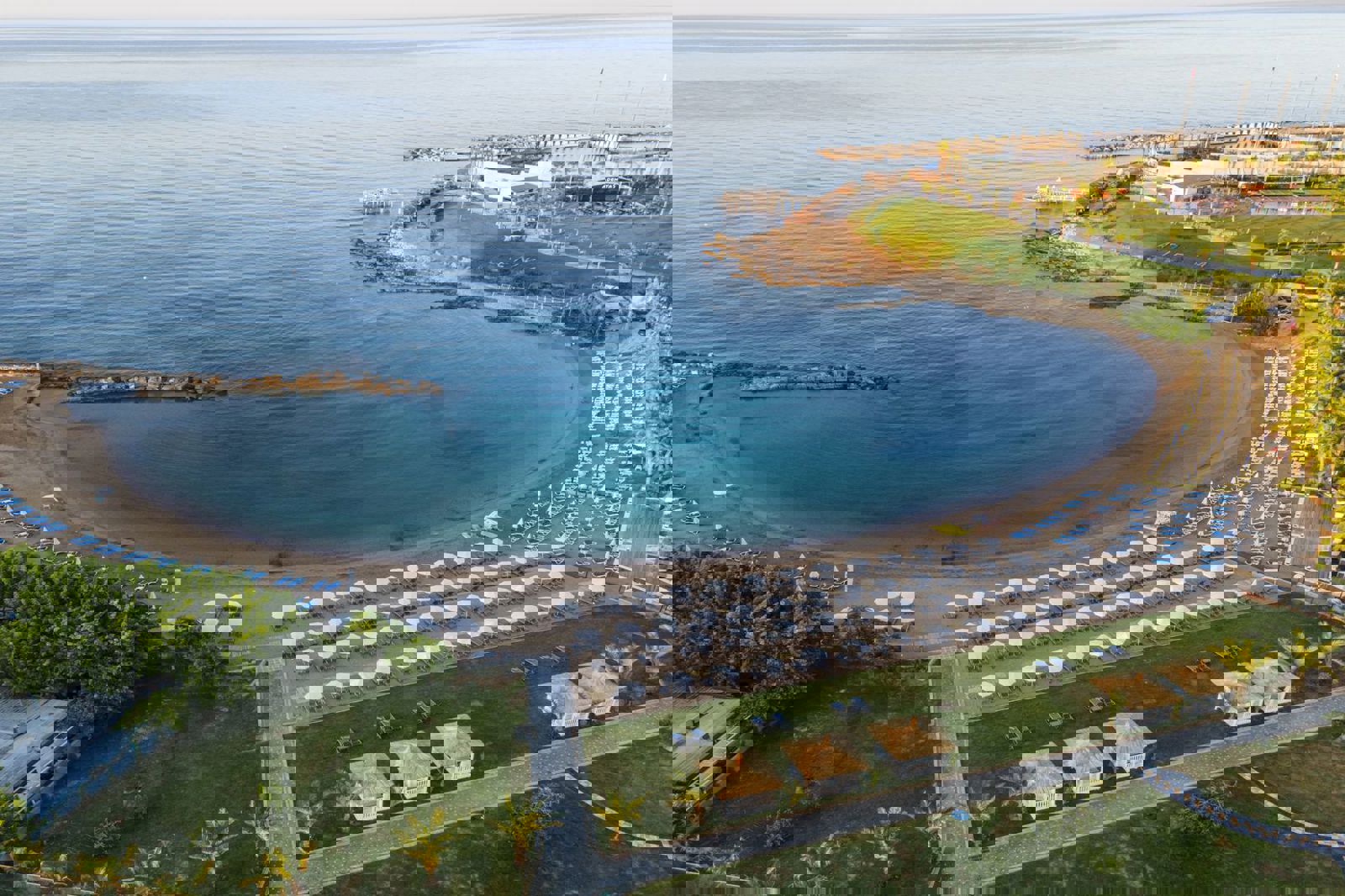 Lonicera Premium slide 5