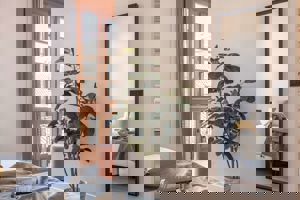 Libere Malaga Teatro Romano