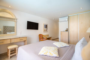 Woonvoorbeeld superiorkamer swimup annex