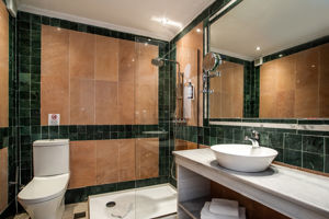 Woonvoorbeeld superiorkamer swimup annex