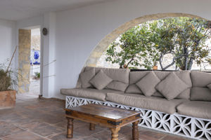 Woonvoorbeeld Pilea Suite