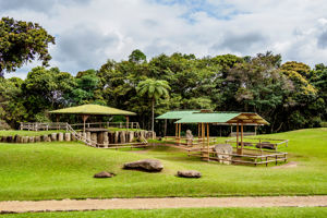 Rondreis Compleet Colombia