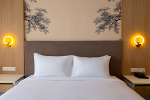 Pickalbatros Palais Des Roses