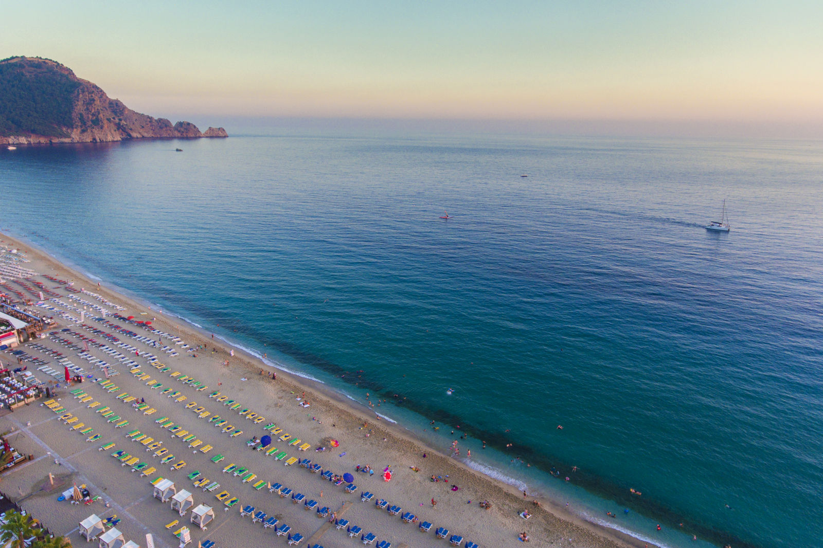 Lonicera City Kleopatra slide 2