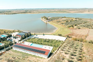 Lumeris Suites & Spa