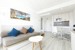 Woonvoorbeeld 2-kamerappartement superior