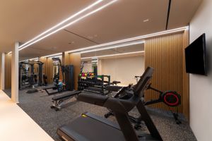 Alizo Comfort Chic Stay Adults Only