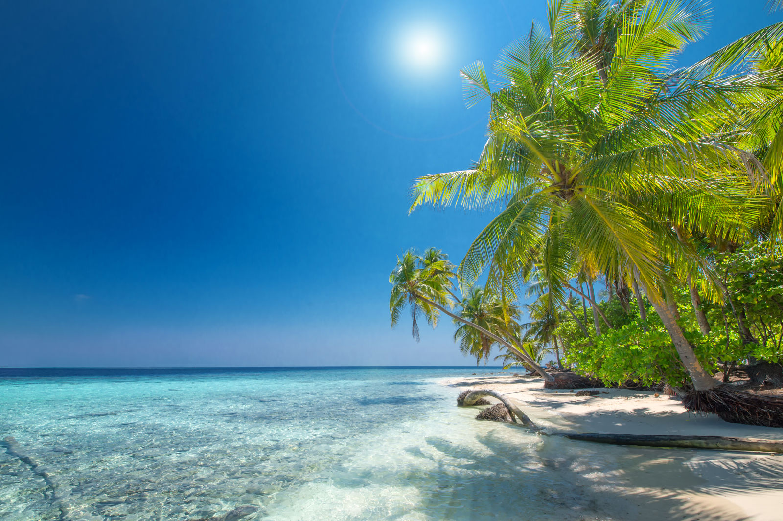 Cruiseervaring Curaçao & Caribische Eilanden