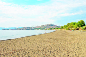 Bingo Lesbos 3* Only Bed