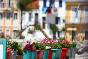 Bingo Parga 3* Only Bed