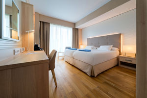 Woonvoorbeeld standaardkamer stadszicht