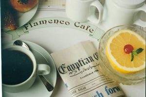 Flamenco Hotel Caïro