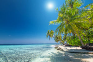 Cruise Curaçao & Caribische Parels - 2026/2027