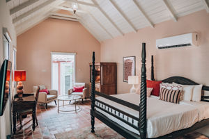 Kura Botanica Vandaag Inside / Oranje Zomer