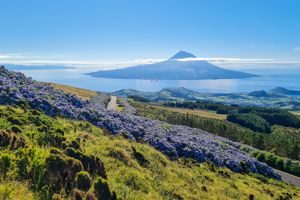 Cruise Only van Curaçao naar IJmuiden - 2027