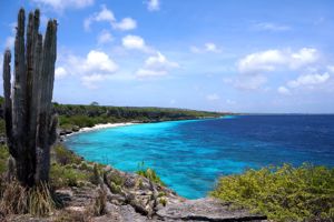 Cruise Only van Curaçao naar IJmuiden - 2027