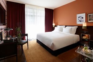 Brown Acropol Athens