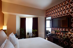 Brown Acropol Athens