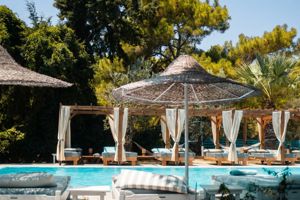 Casa Trees Boutique Hotel 