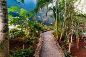 Hovima La Pinta Beachfront Family Hotel